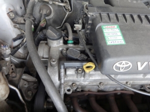 Toyota Yaris variklis